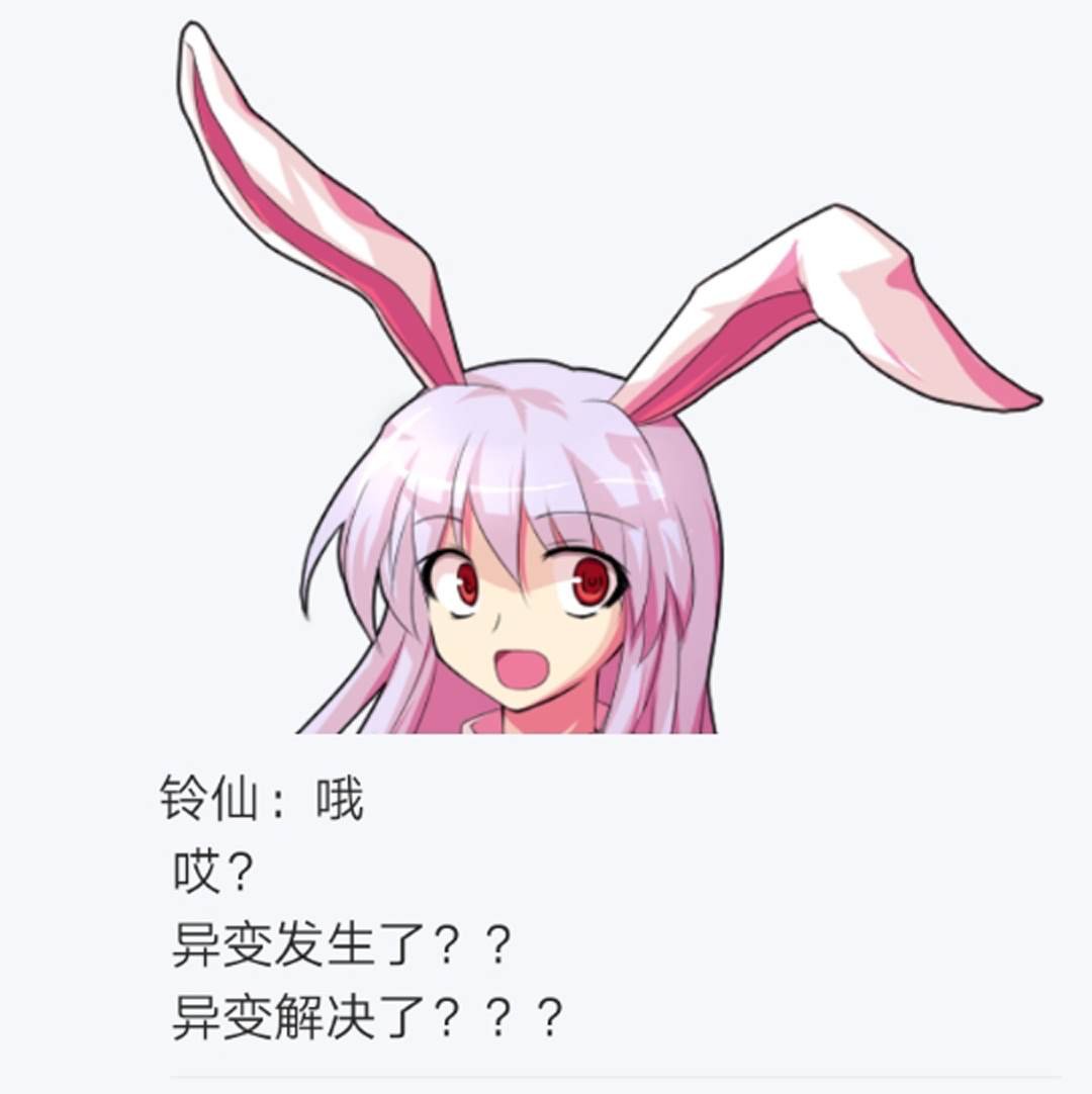 第11回