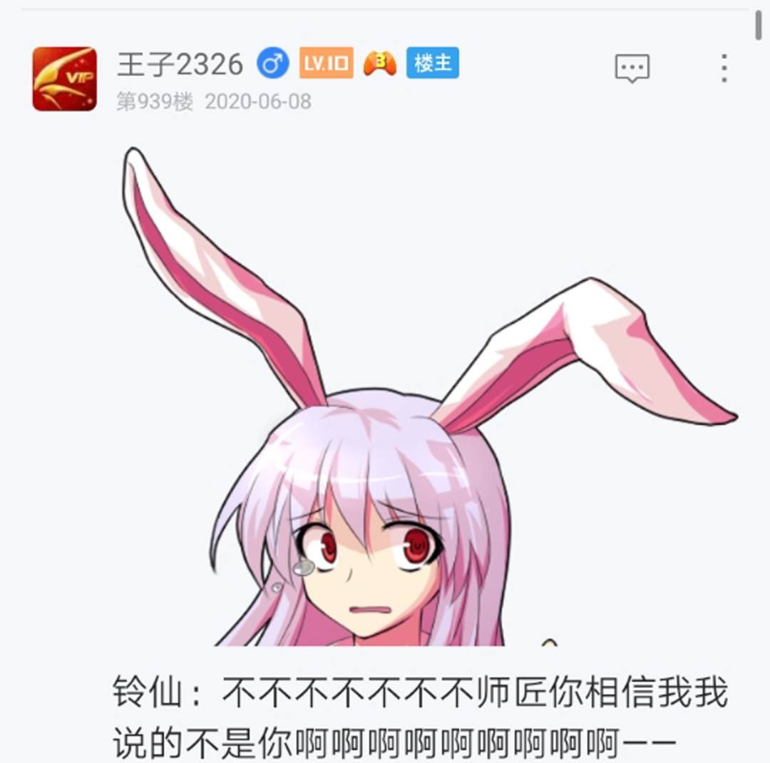 第11回