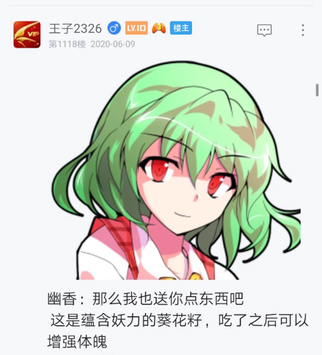 第13回