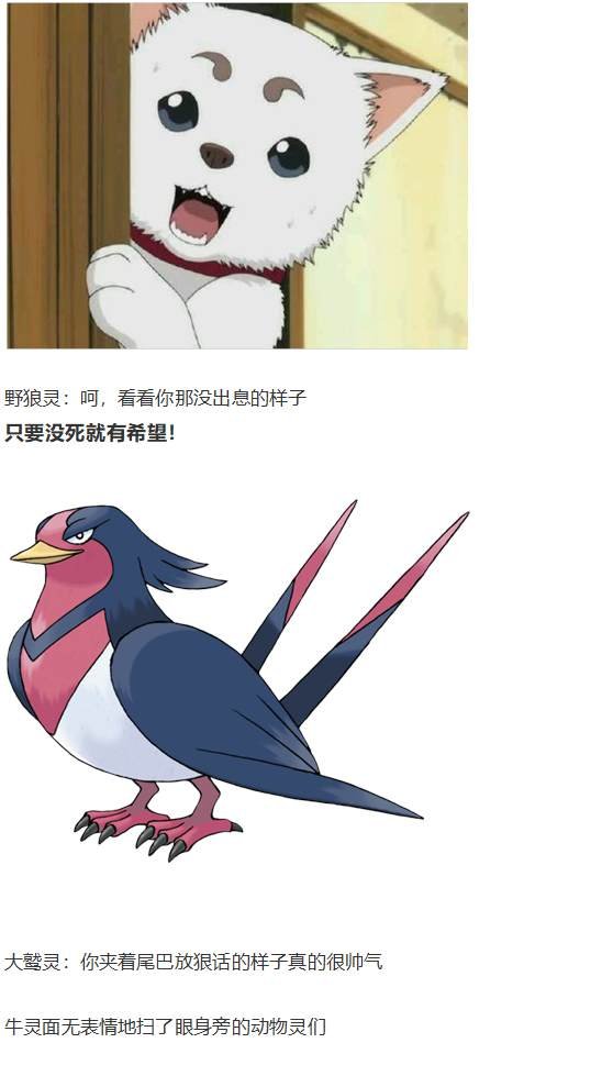 袿姬战斗回