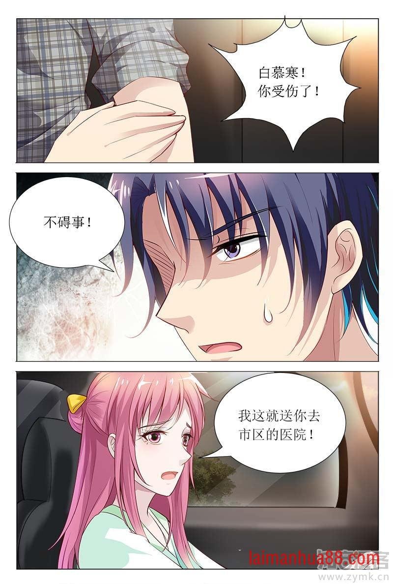第65话 白慕寒，你要坚持住啊
