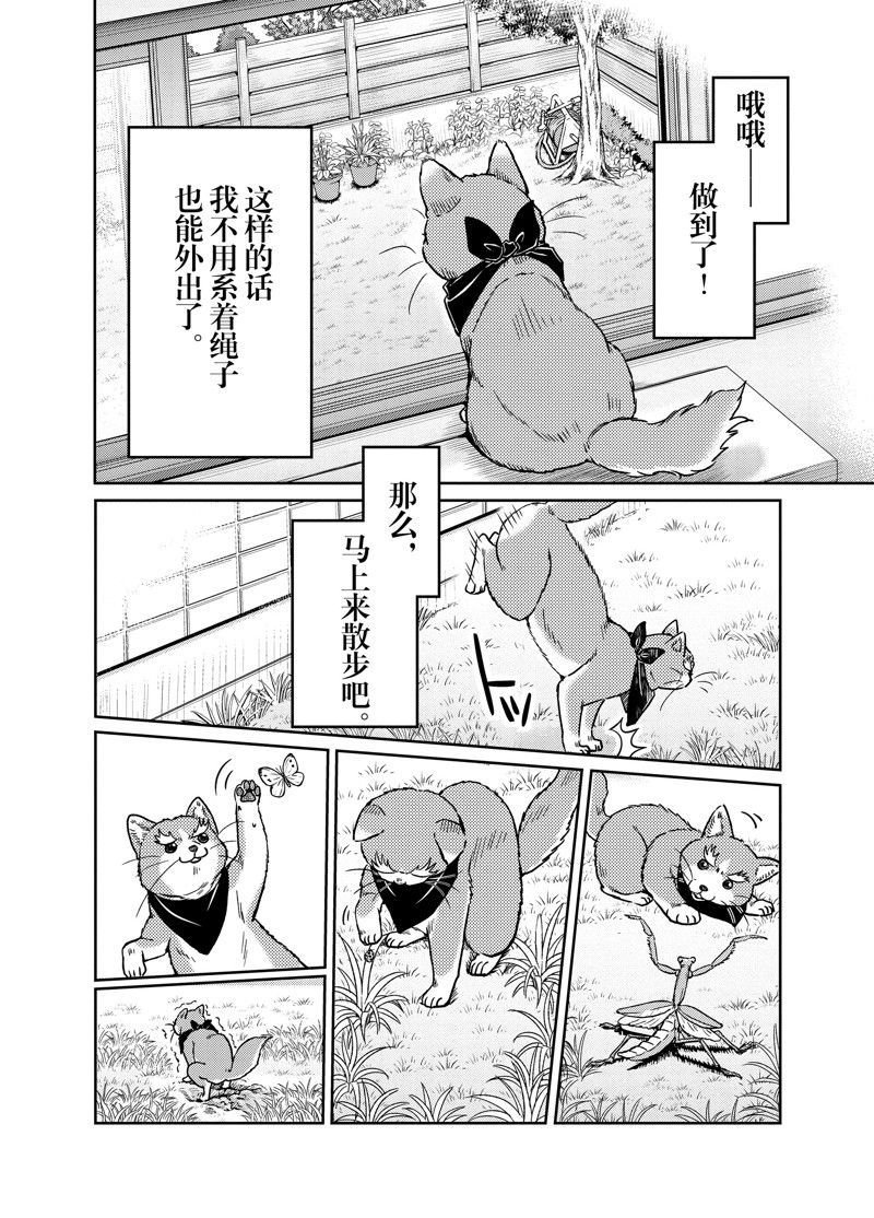 第100话