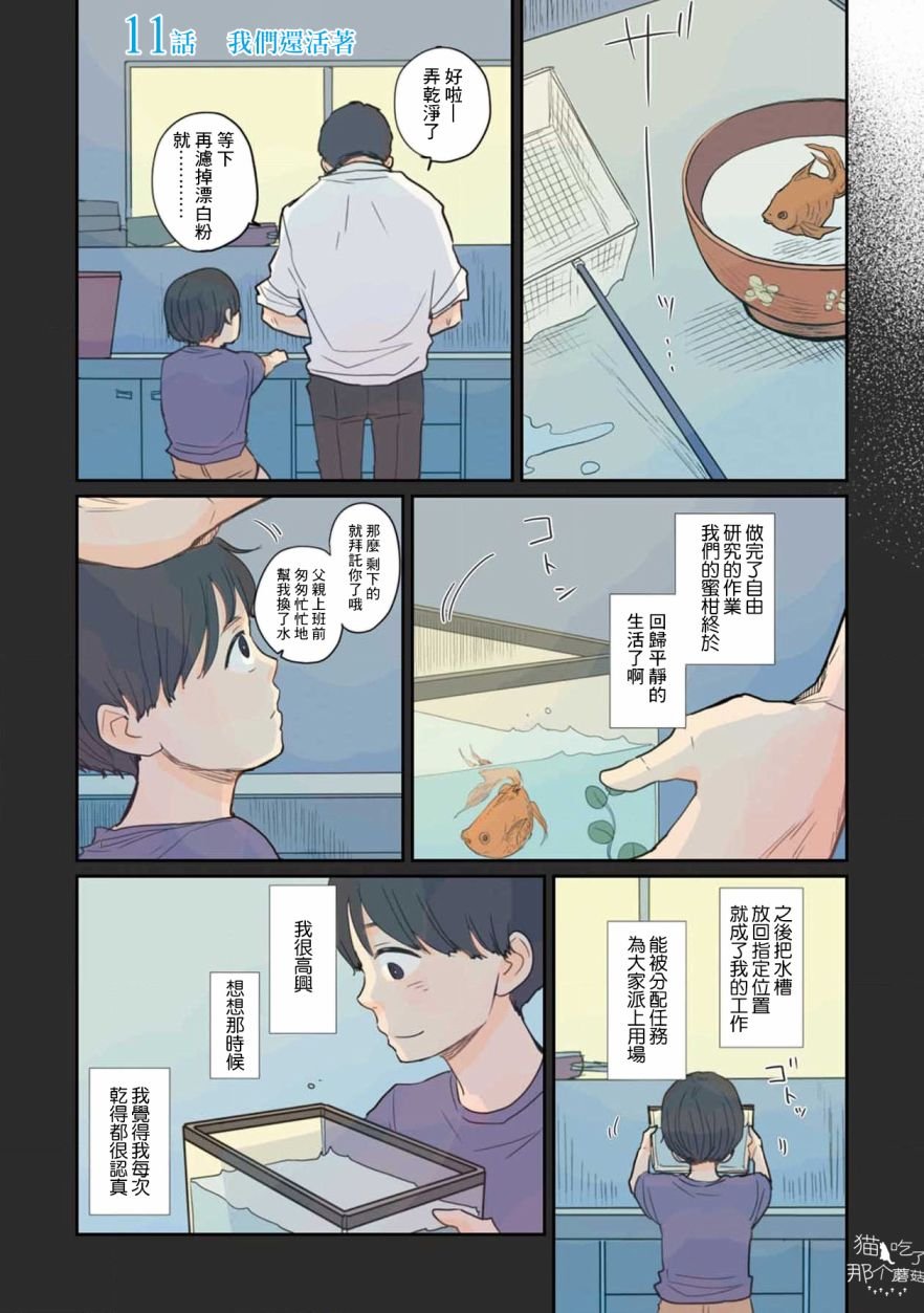 第12话