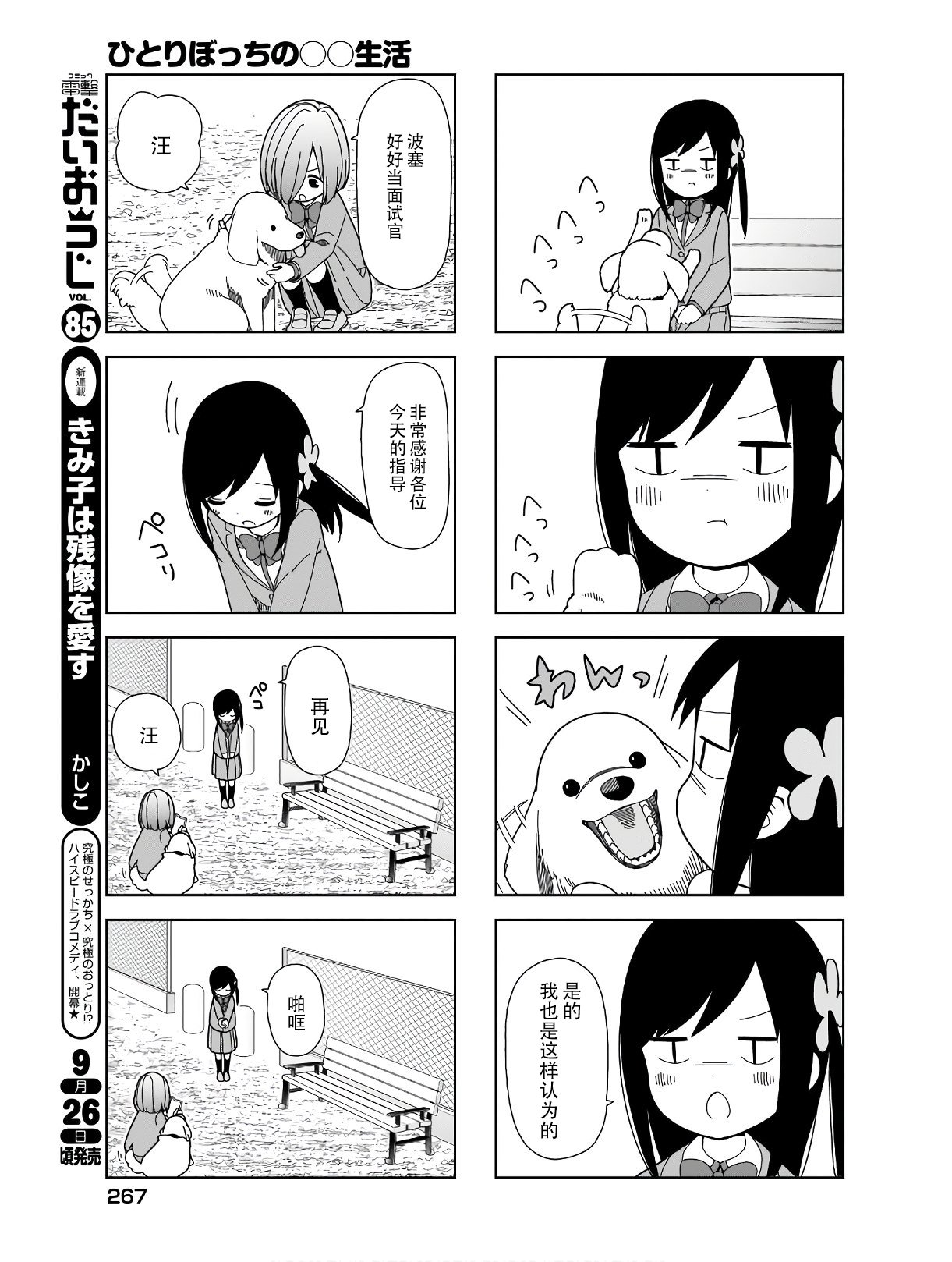 波奇85