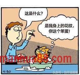 星期一加菲不离开床