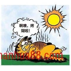 星期一加菲不离开床
