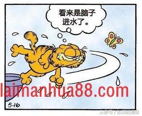 星期一加菲不离开床