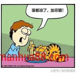 星期一加菲不离开床