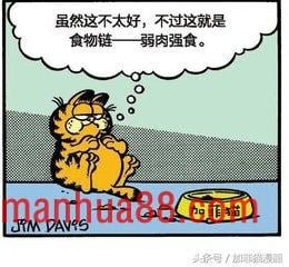 星期一加菲不离开床