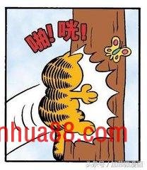 星期一加菲不离开床