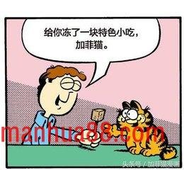 星期一加菲不离开床