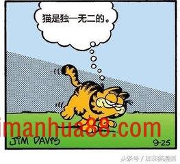 星期一加菲不离开床
