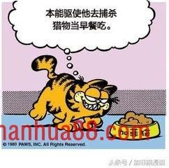 星期一加菲不离开床