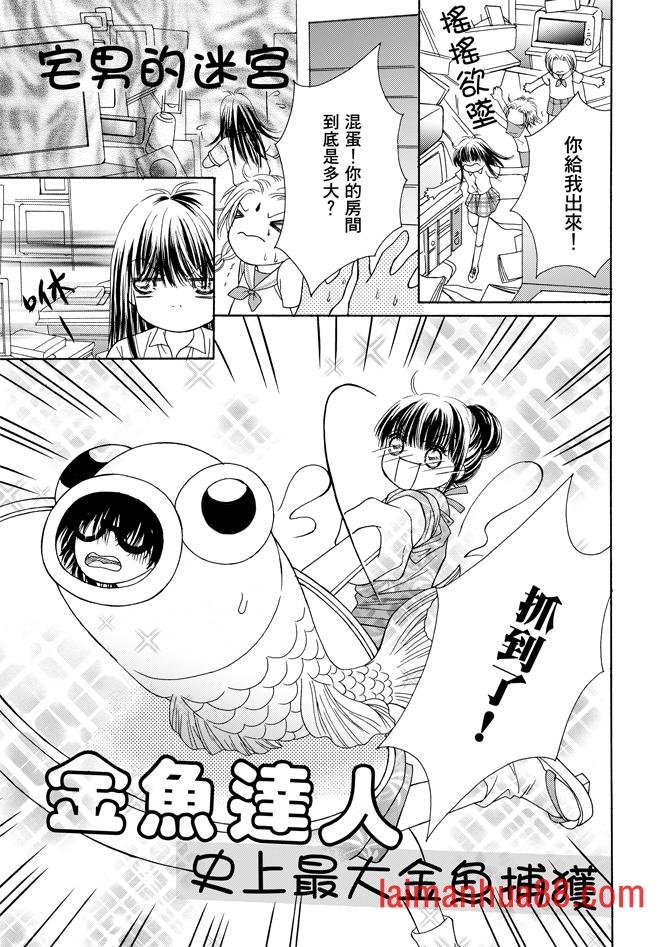 第04卷