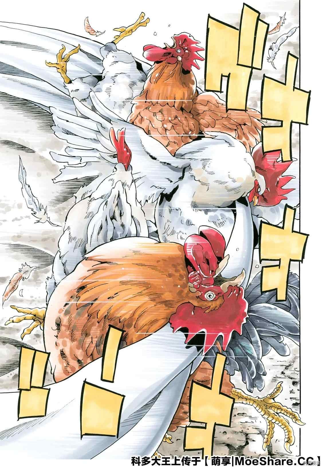 极81