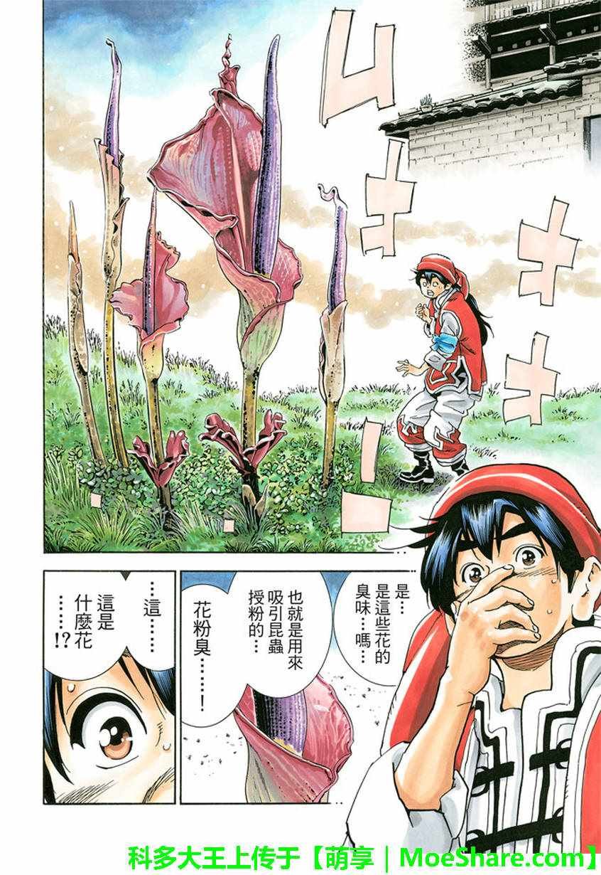 极13 魔性奔流