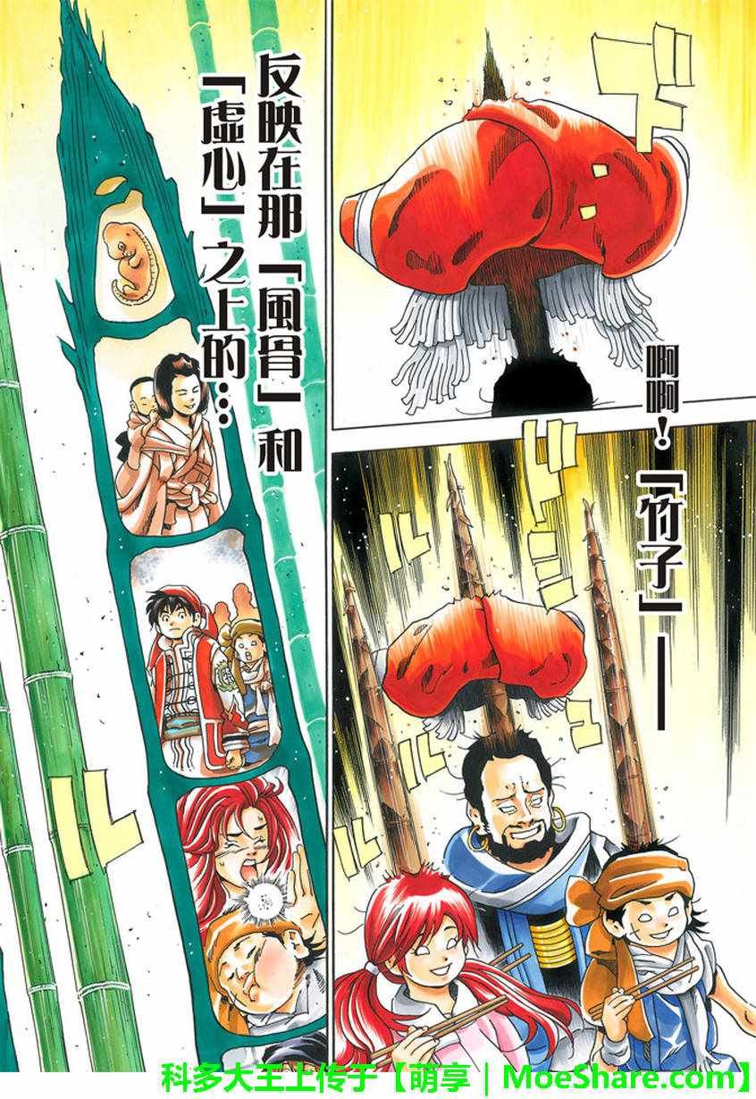 极16 穿越时空的竹笋