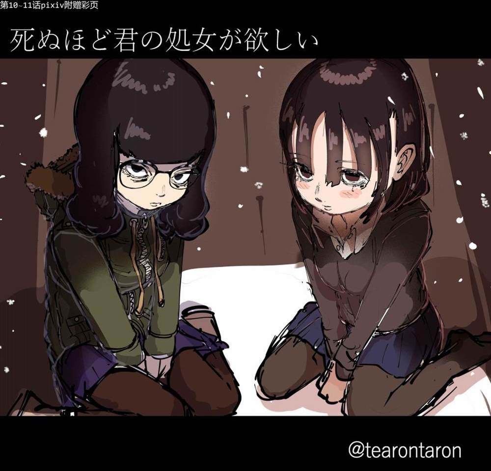 彩图