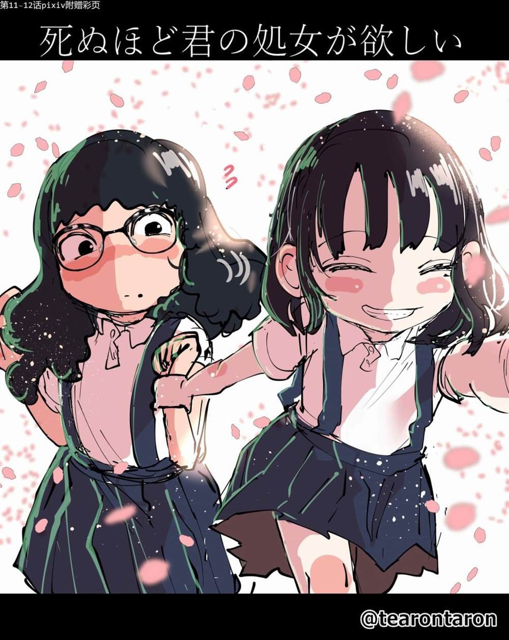 彩图