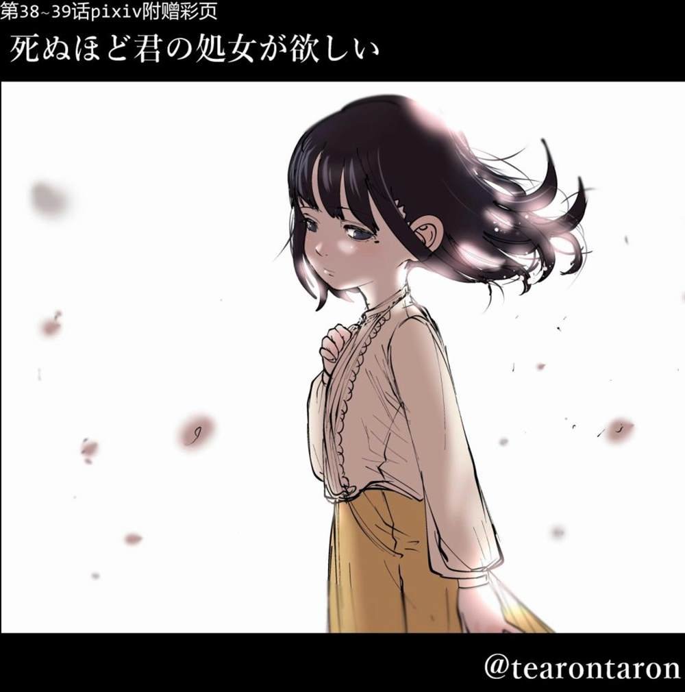 彩图