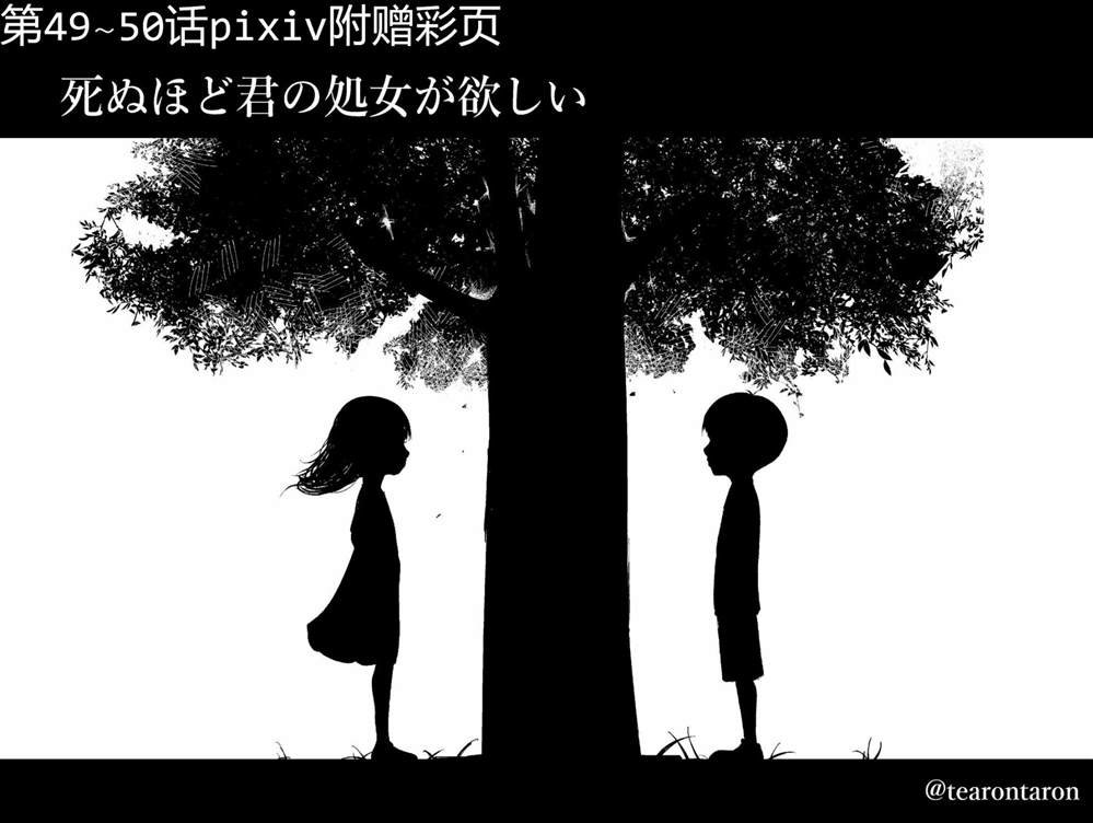 彩图