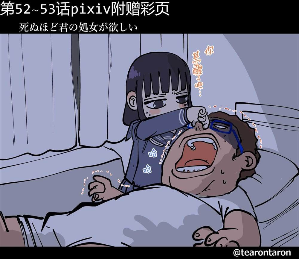 彩图