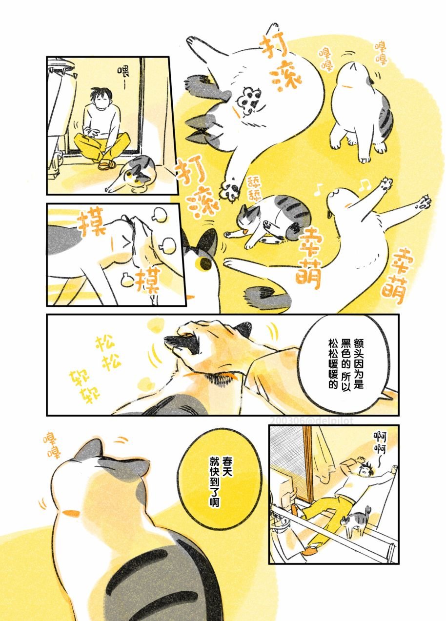 第12话