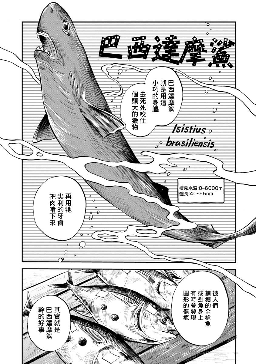 第32话 巴西达摩鲨（前篇）