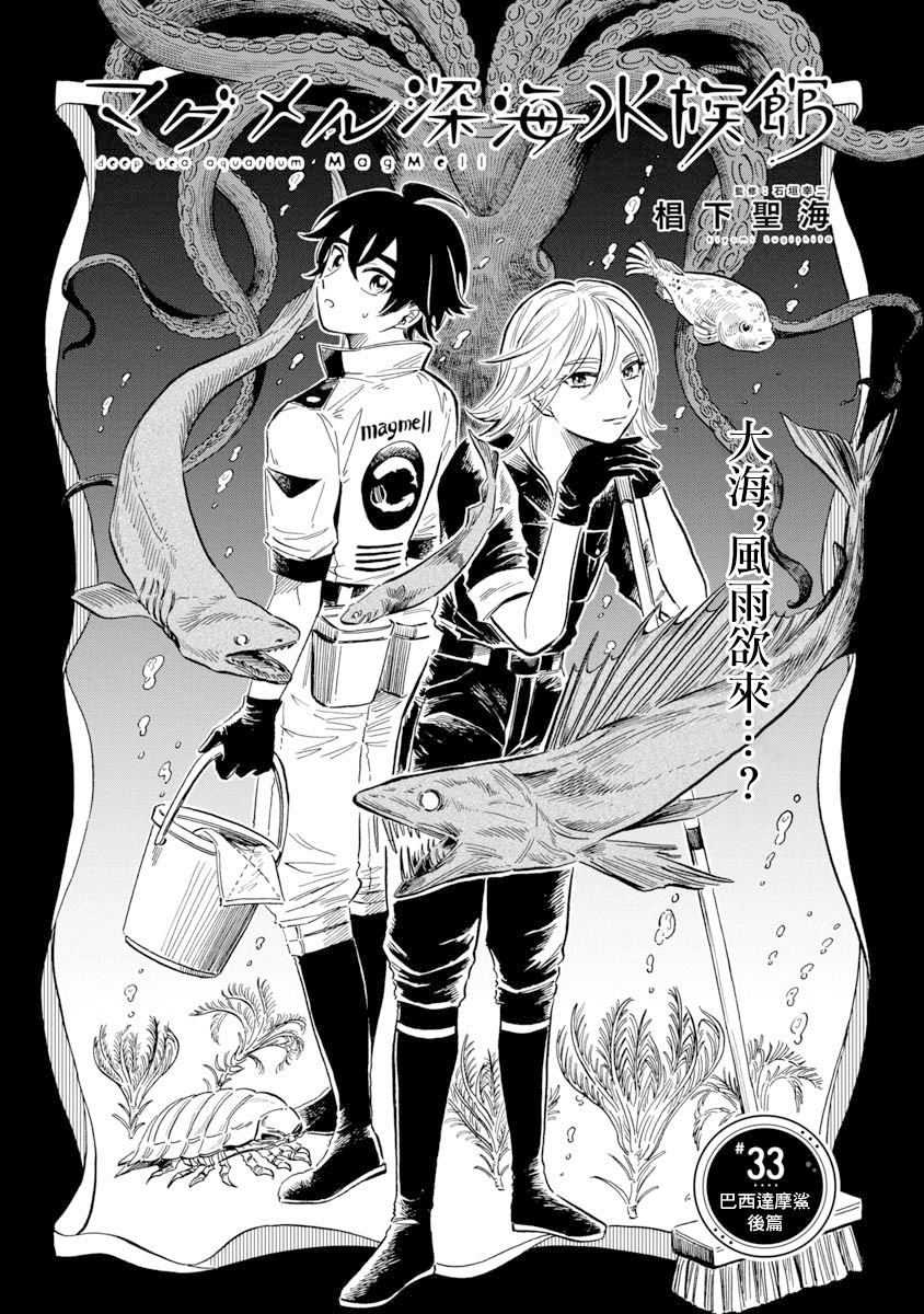 第33话 巴西达摩鲨（后篇）