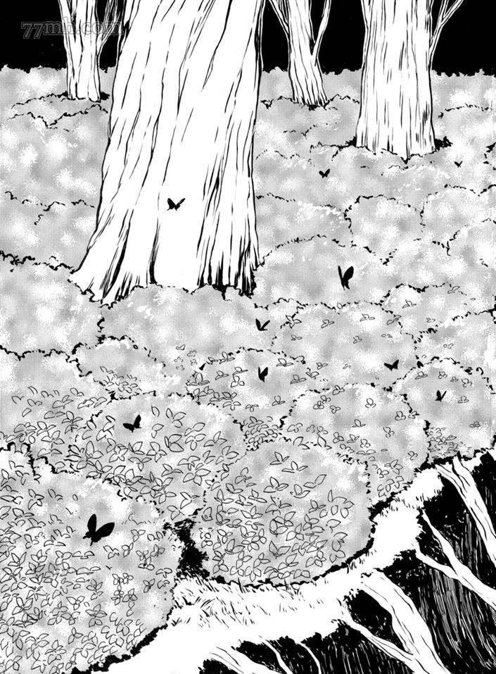 第75话 试看版
