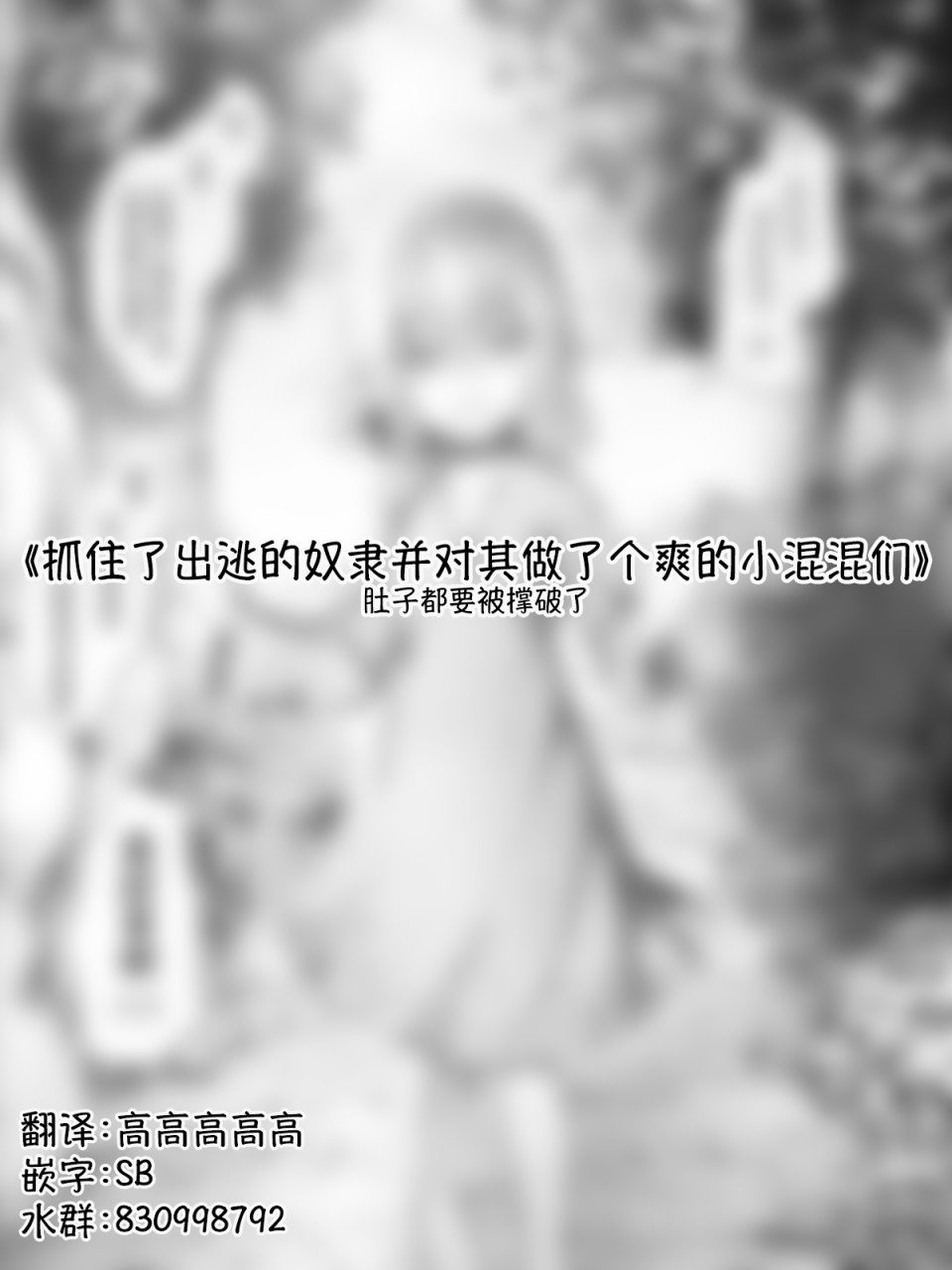 精灵14