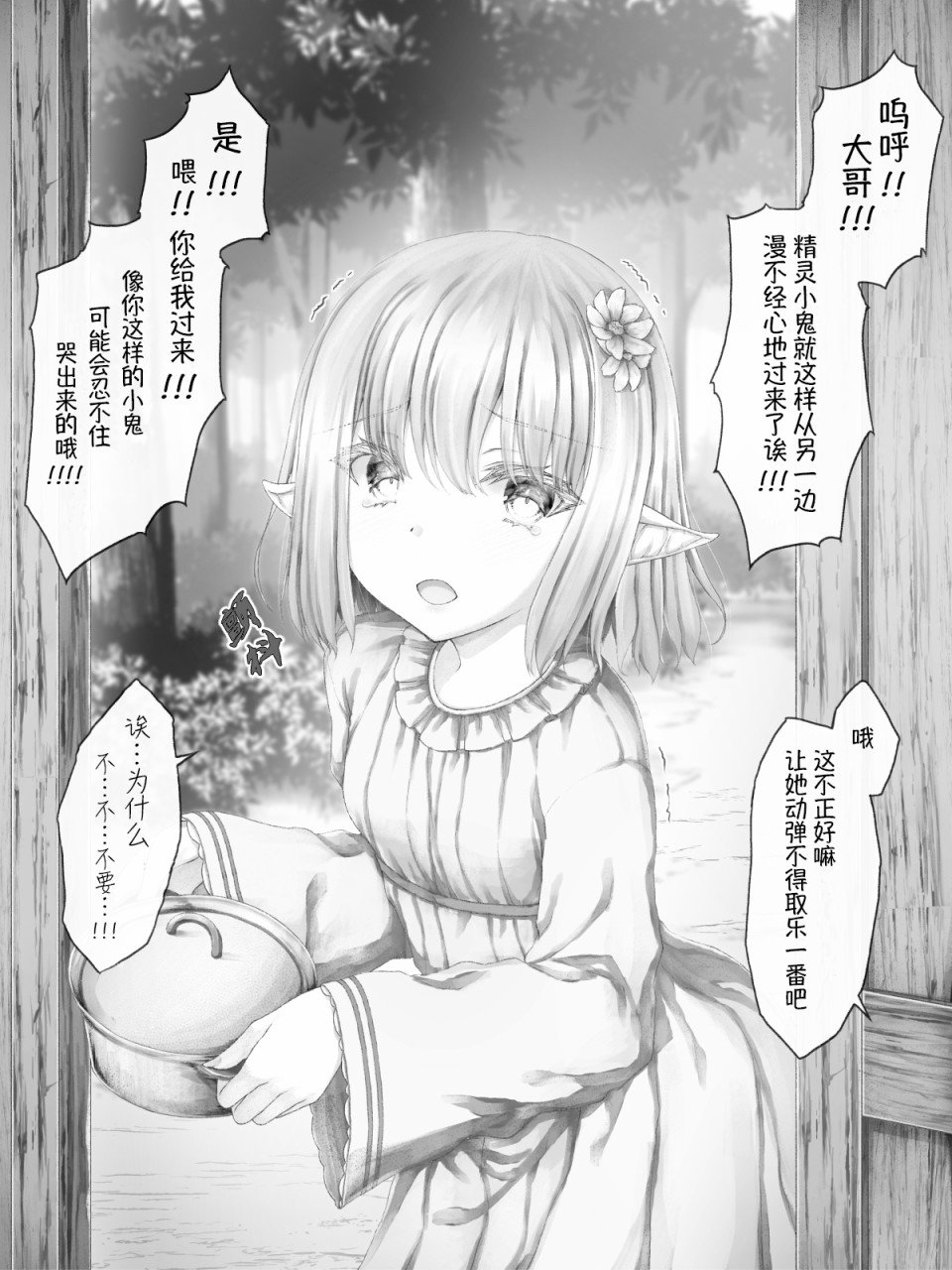 精灵17
