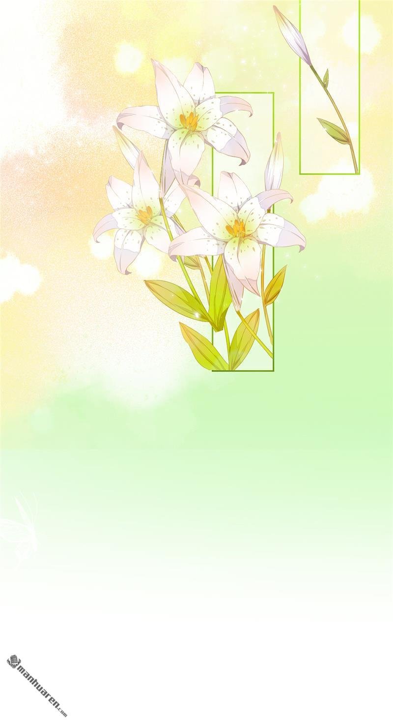 第615回
