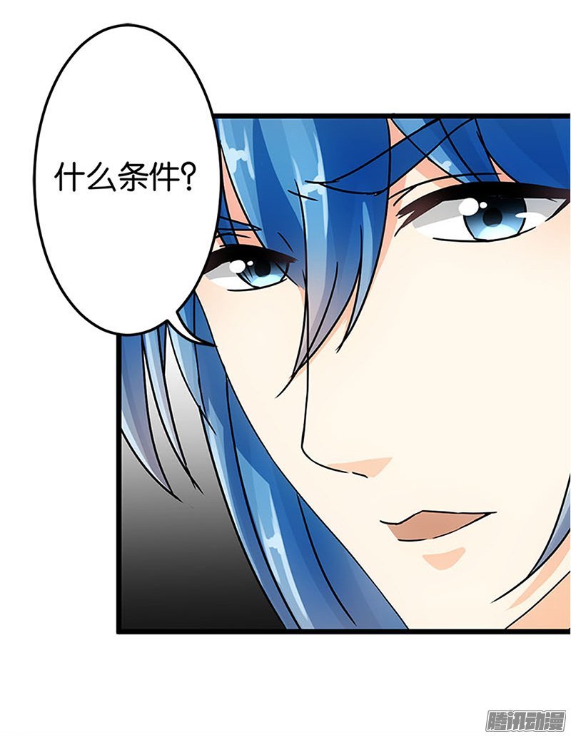 第41回