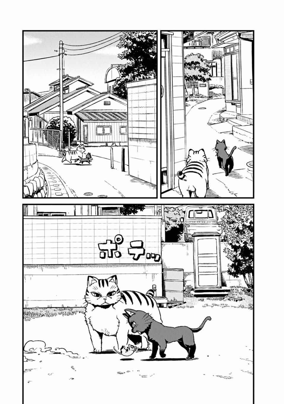 第79话