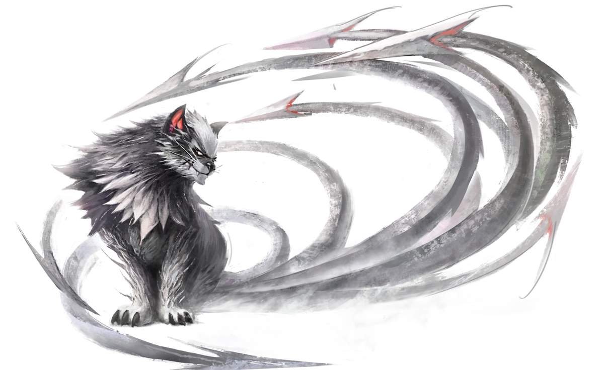 大猫猫细节