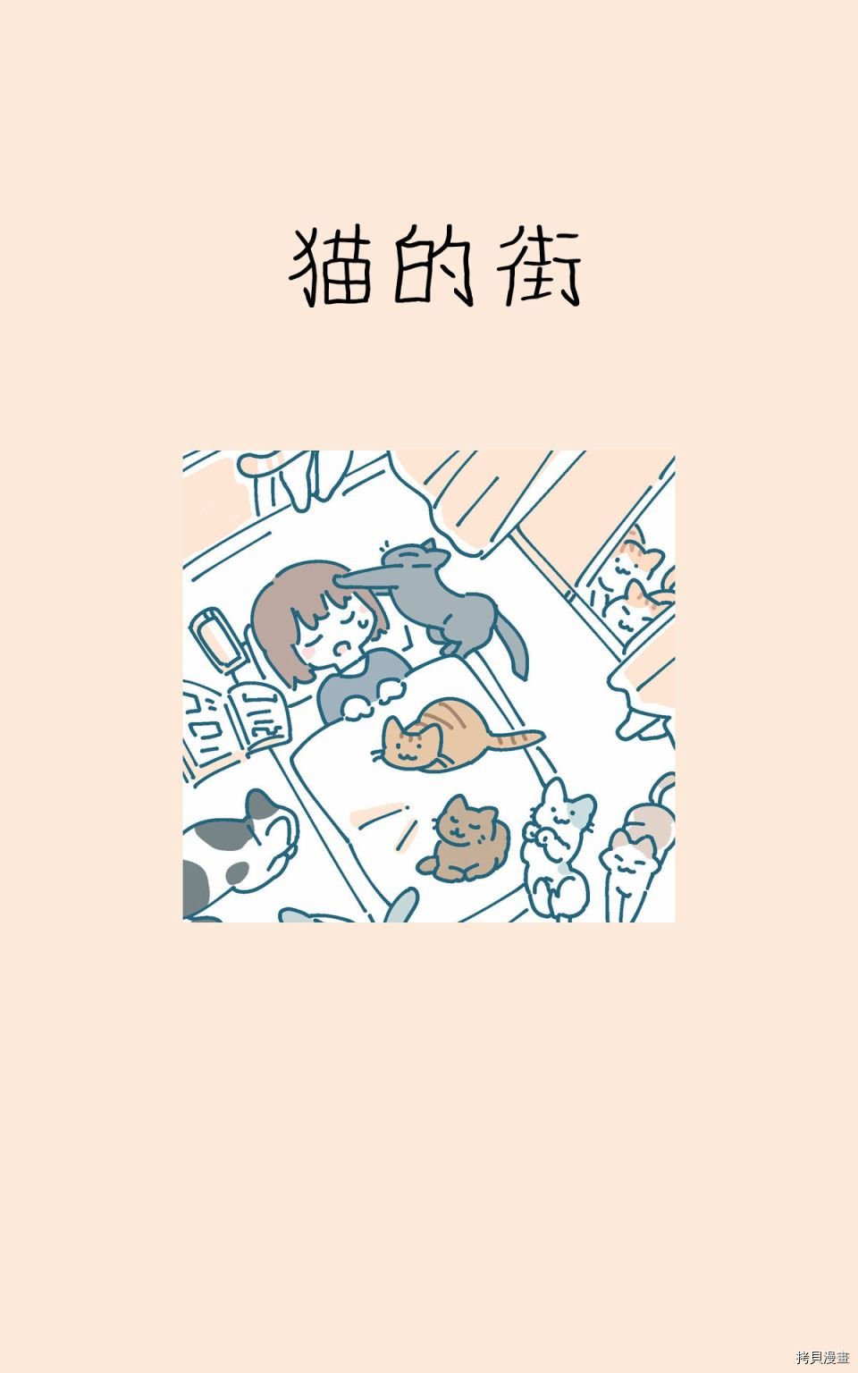 猫的街