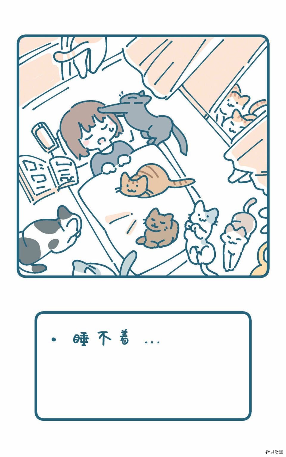 猫的街