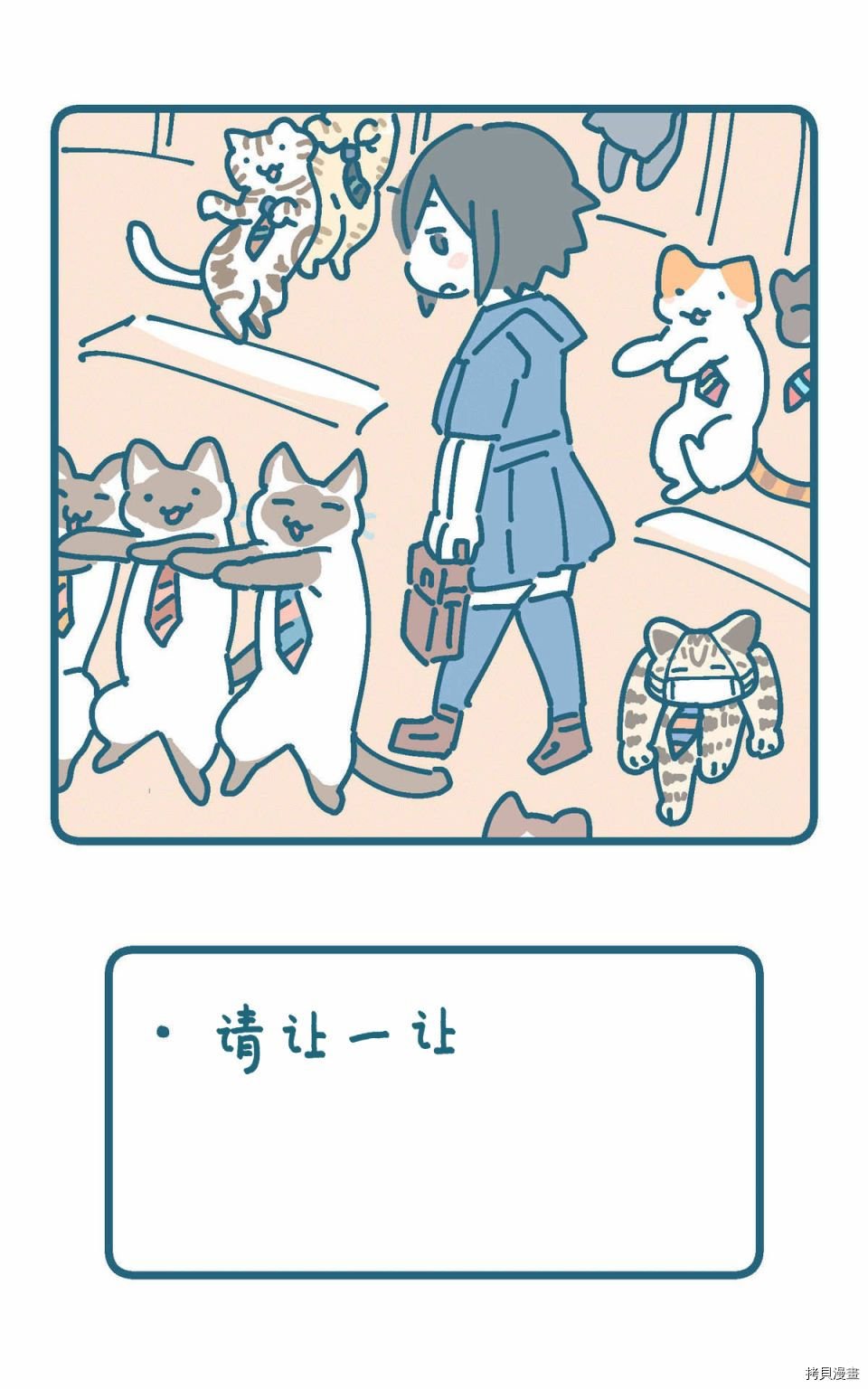 猫的街