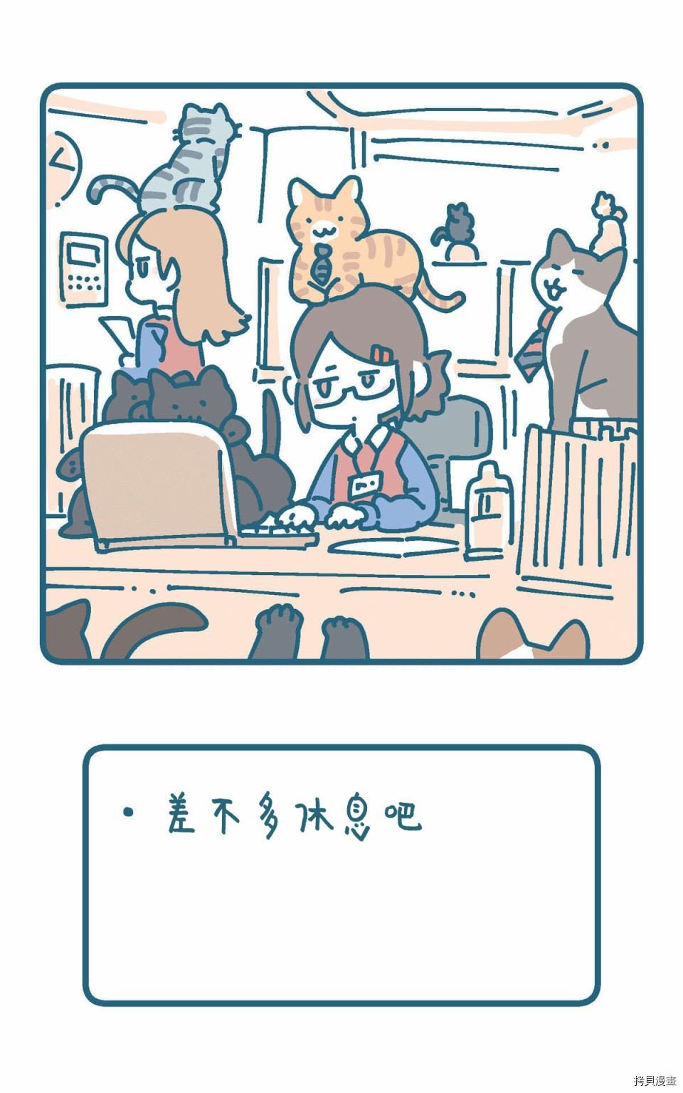 猫的街