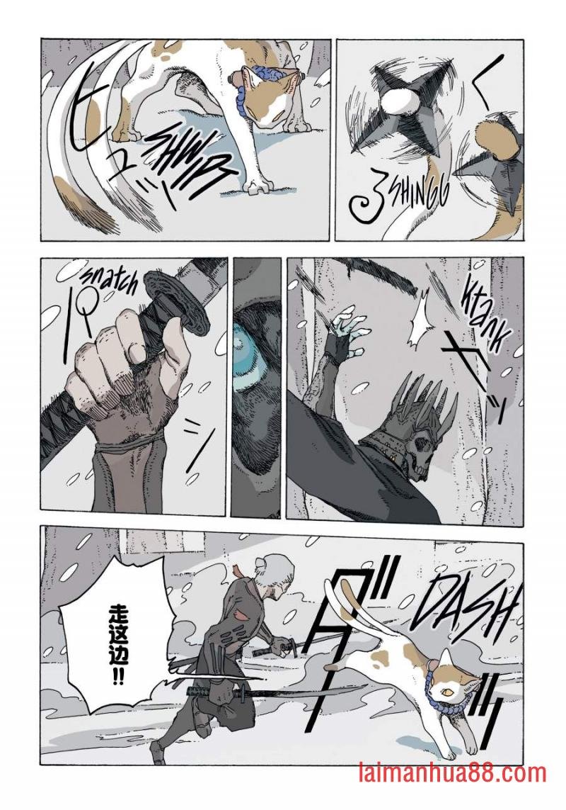 第13卷