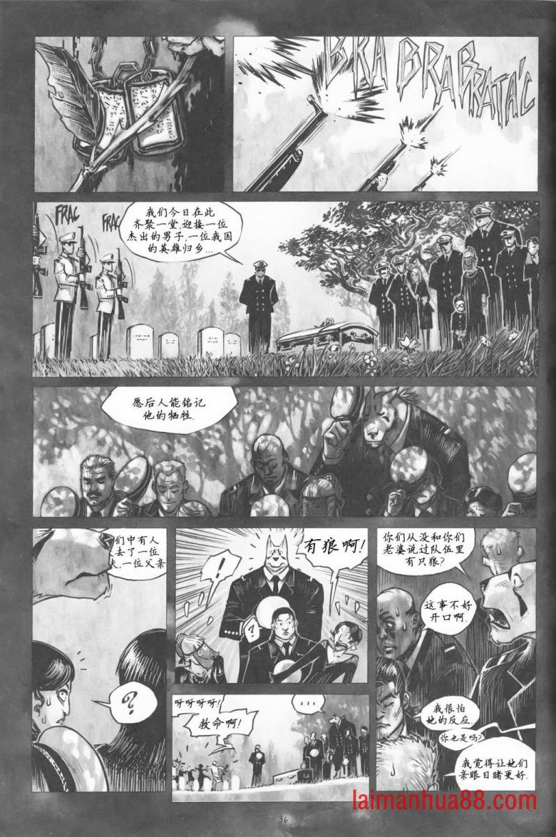 第07卷