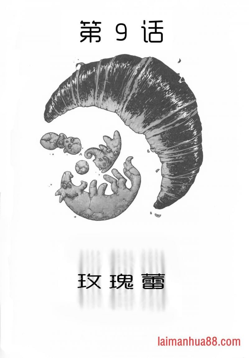 第09卷