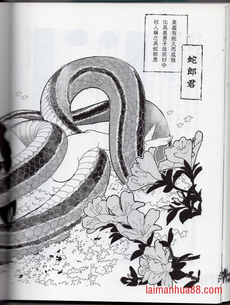妖鬼神游卷中