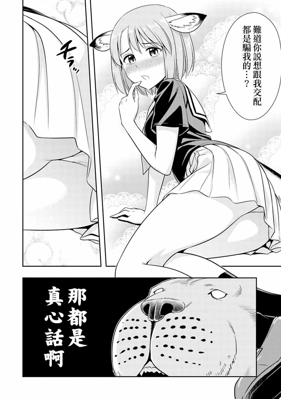 西顿学园 51附录