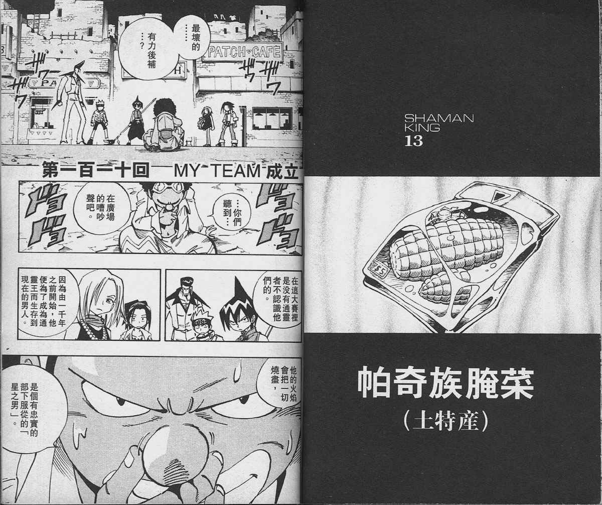 第13卷
