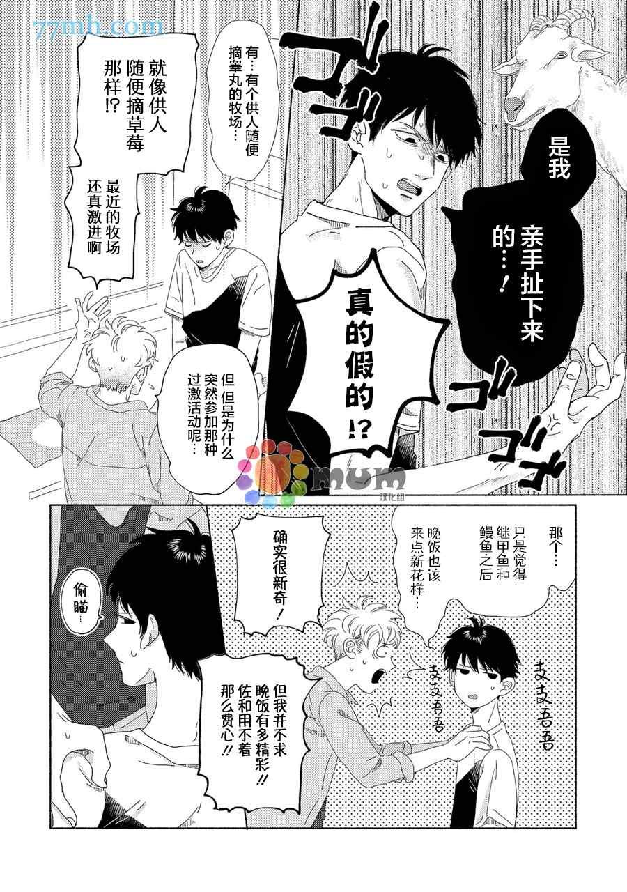 新篇3