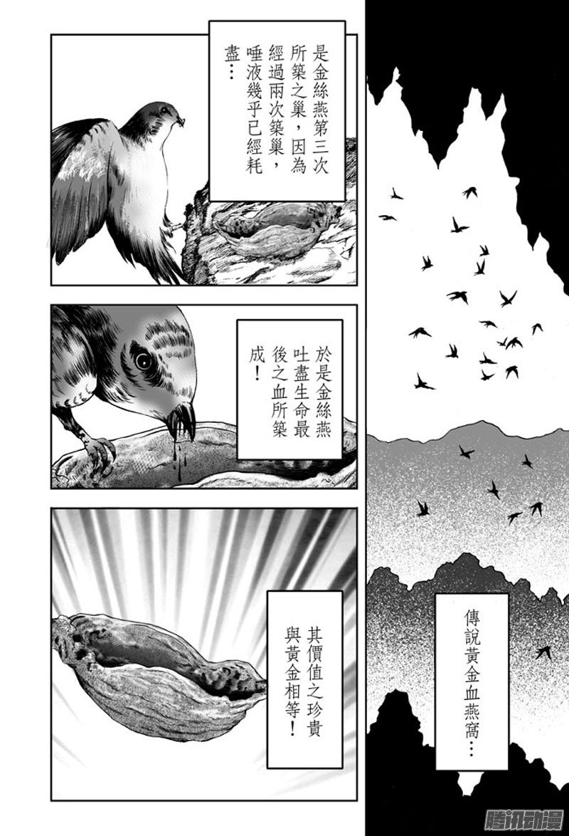 黄金血燕（一）