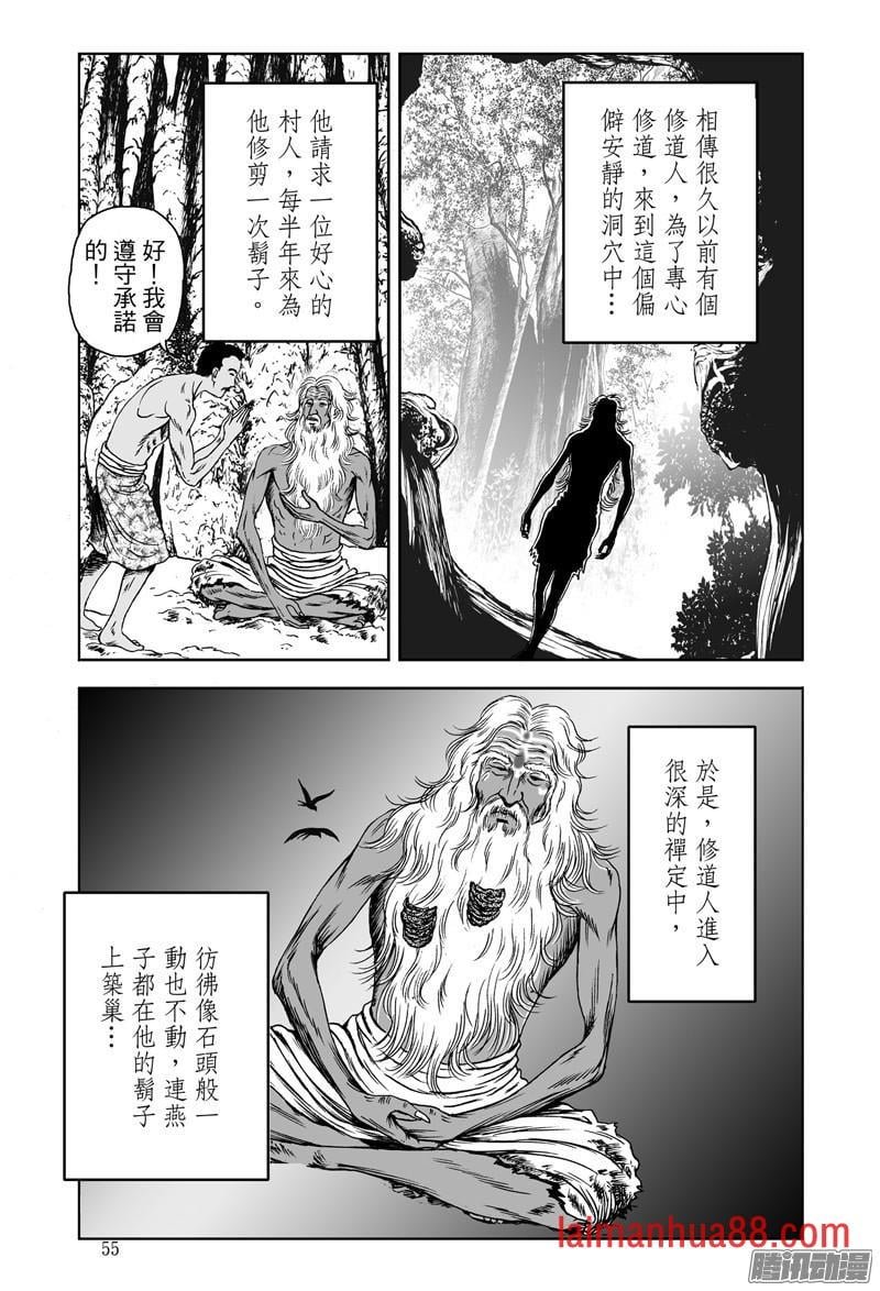 黄金血燕（四）