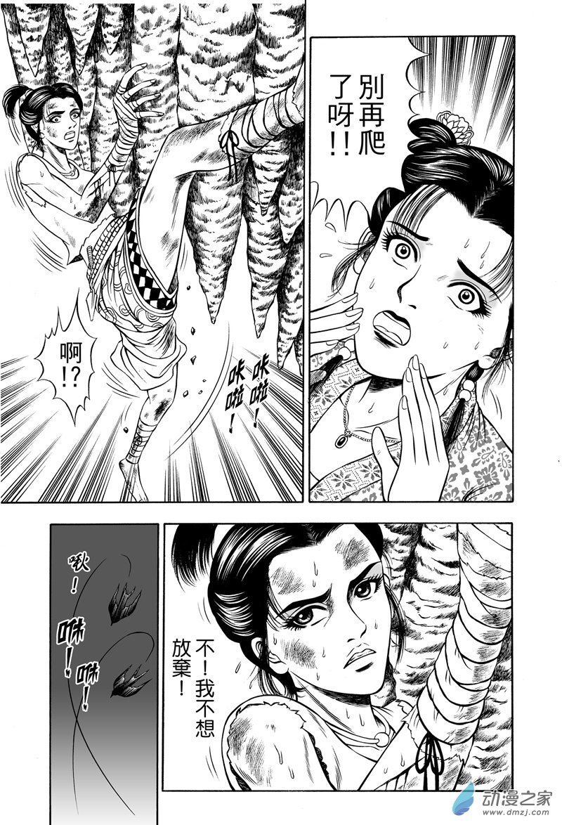 黄金血燕（五）